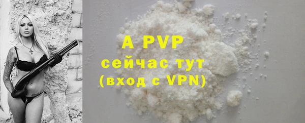 ешки Абаза